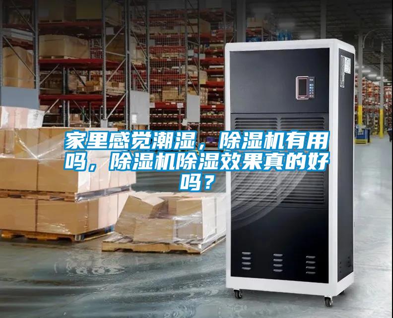家里感觉潮湿，茄子视频懂你更多在线观看有用吗，茄子视频懂你更多在线观看除湿效果真的好吗？