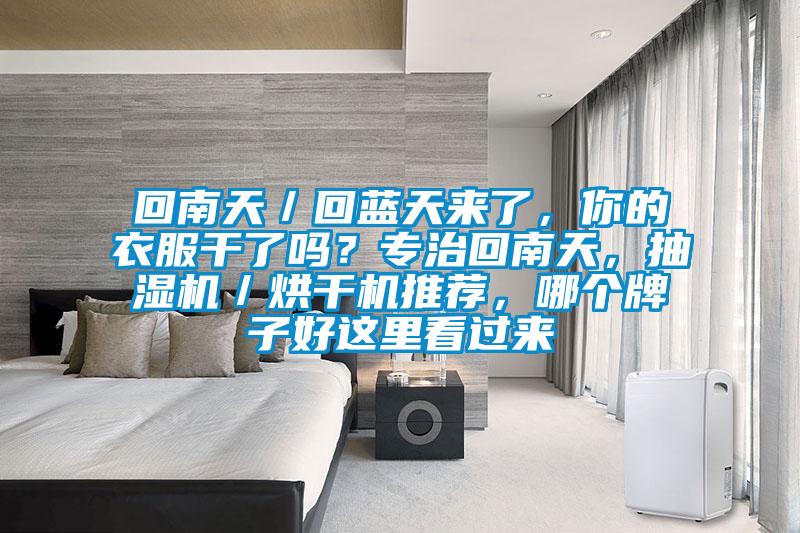 回南天／回蓝天来了，你的衣服干了吗？专治回南天，抽湿机／烘干机推荐，哪个牌子好这里看过来