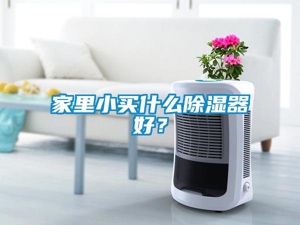 家里小买什么除湿器好？
