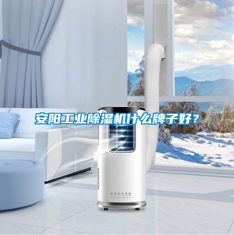 安阳工业茄子视频懂你更多在线观看什么牌子好？