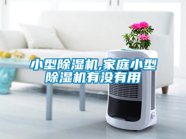 小型茄子视频懂你更多在线观看,家庭小型茄子视频懂你更多在线观看有没有用