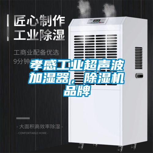 孝感工业超声波加湿器，茄子视频懂你更多在线观看品牌
