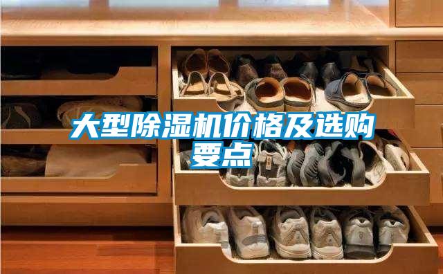大型茄子视频懂你更多在线观看价格及选购要点