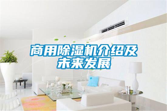 商用茄子视频懂你更多在线观看介绍及未来发展