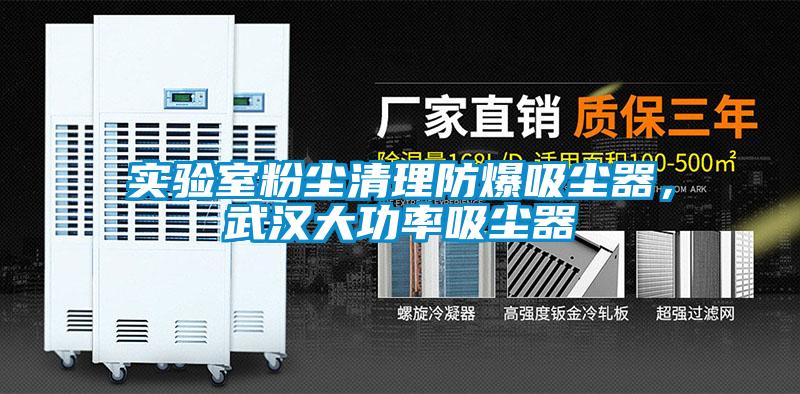实验室粉尘清理防爆吸尘器，武汉大功率吸尘器