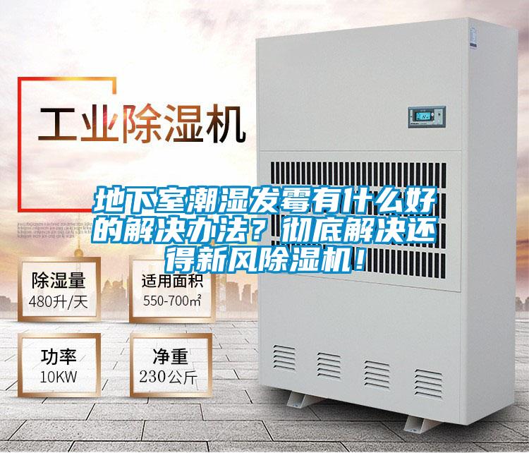 地下室潮湿发霉有什么好的解决办法？彻底解决还得新风茄子视频懂你更多在线观看！