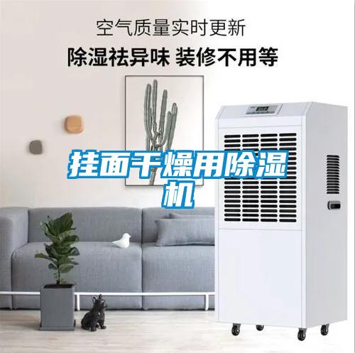 挂面干燥用茄子视频懂你更多在线观看