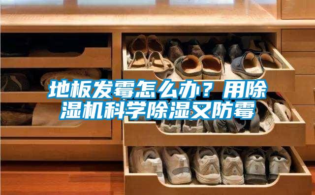 地板发霉怎么办？用茄子视频懂你更多在线观看科学除湿又防霉