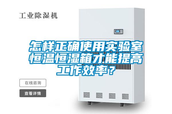 怎样正确使用实验室恒温恒湿箱才能提高工作效率？