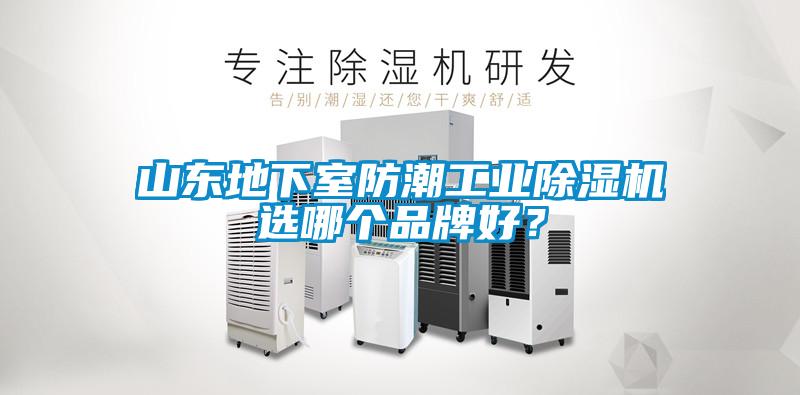 山东地下室防潮工业茄子视频懂你更多在线观看选哪个品牌好？