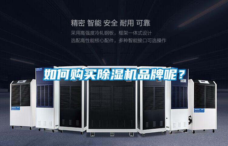 如何购买茄子视频懂你更多在线观看品牌呢？