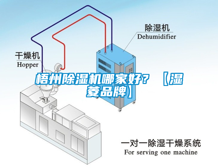 梧州茄子视频懂你更多在线观看哪家好？【湿菱品牌】