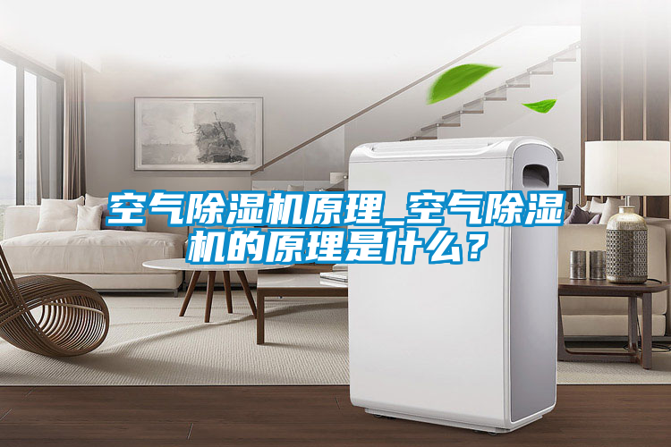 空气茄子视频懂你更多在线观看原理_空气茄子视频懂你更多在线观看的原理是什么？