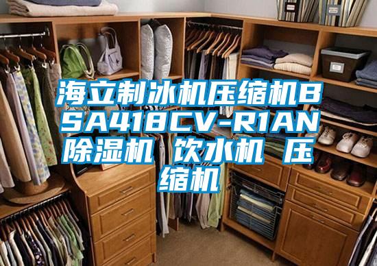 海立制冰机压缩机BSA418CV-R1AN茄子视频懂你更多在线观看 饮水机 压缩机