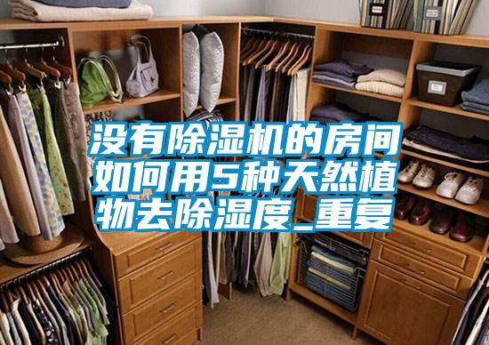 没有茄子视频懂你更多在线观看的房间如何用5种天然植物去除湿度_重复