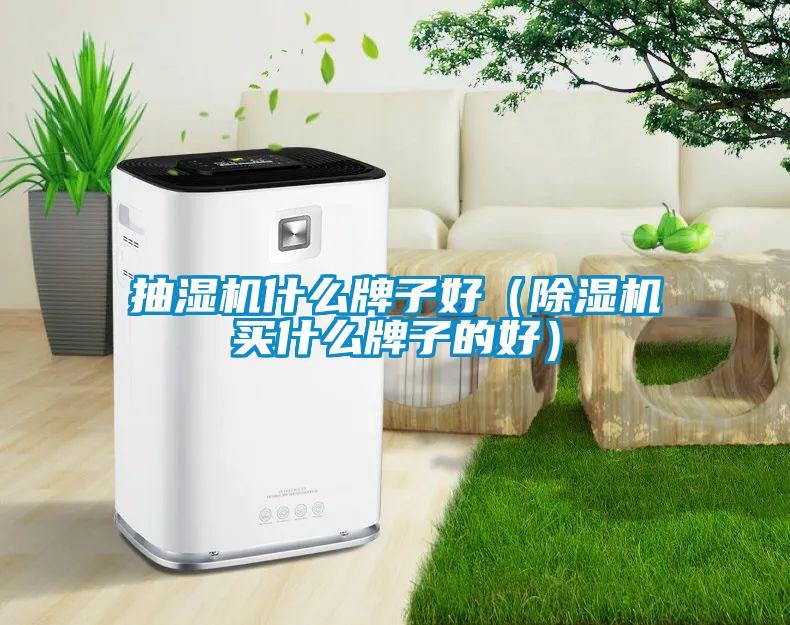 抽湿机什么牌子好（茄子视频懂你更多在线观看买什么牌子的好）