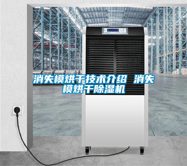 消失模烘干技术介绍 消失模烘干茄子视频懂你更多在线观看