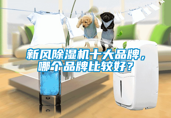 新风茄子视频懂你更多在线观看十大品牌，哪个品牌比较好？