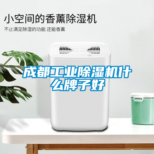 成都工业茄子视频懂你更多在线观看什么牌子好