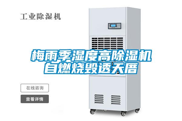 梅雨季湿度高茄子视频懂你更多在线观看自燃烧毁透天厝