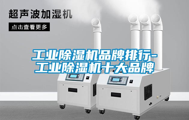工业茄子视频懂你更多在线观看品牌排行-工业茄子视频懂你更多在线观看十大品牌