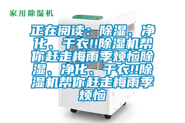 正在阅读：除湿、净化、干衣!!茄子视频懂你更多在线观看帮你赶走梅雨季烦恼除湿、净化、干衣!!茄子视频懂你更多在线观看帮你赶走梅雨季烦恼