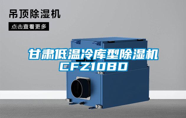 甘肃低温冷库型茄子视频懂你更多在线观看CFZ10BD