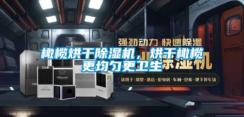 橄榄烘干茄子视频懂你更多在线观看，烘干橄榄更均匀更卫生