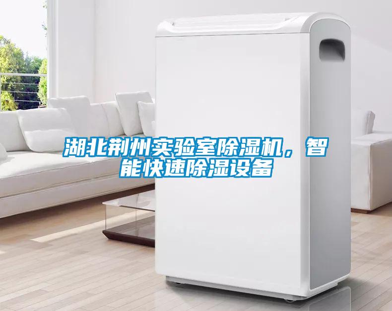 湖北荆州实验室茄子视频懂你更多在线观看，智能快速除湿设备