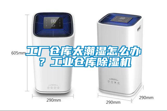 工厂仓库太潮湿怎么办？工业仓库茄子视频懂你更多在线观看