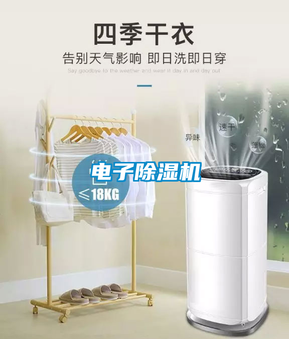 电子茄子视频懂你更多在线观看