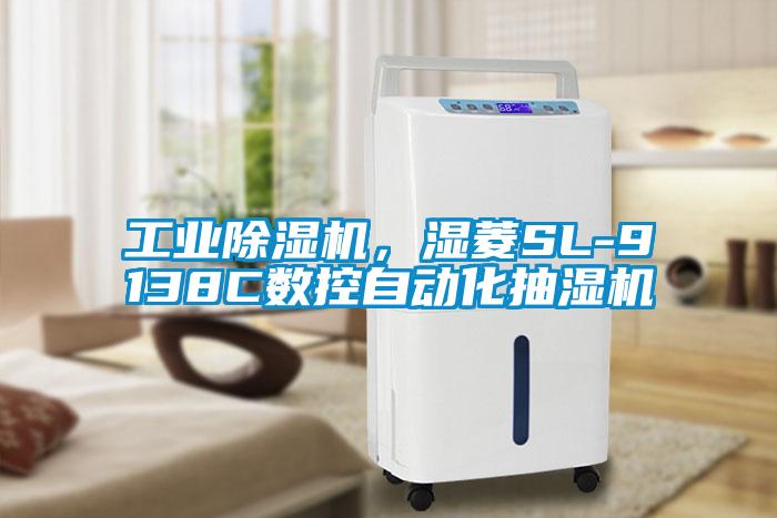 工业茄子视频懂你更多在线观看，湿菱SL-9138C数控自动化抽湿机