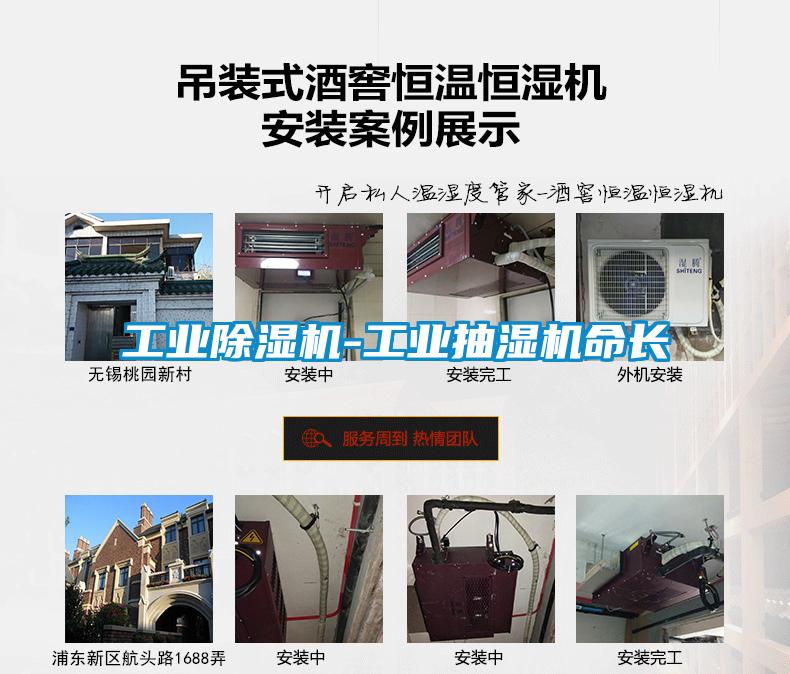 工业茄子视频懂你更多在线观看-工业抽湿机命长