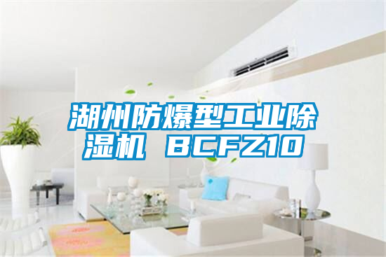 湖州防爆型工业茄子视频懂你更多在线观看 BCFZ10