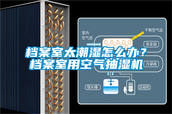 档案室太潮湿怎么办？档案室用空气抽湿机