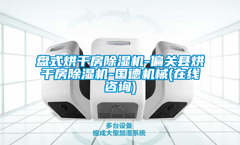 盘式烘干房茄子视频懂你更多在线观看-偏关县烘干房茄子视频懂你更多在线观看-国德机械(在线咨询)