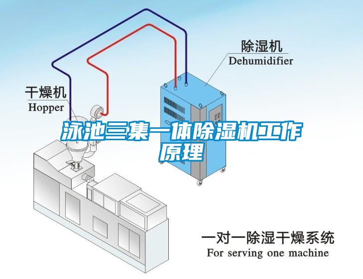泳池三集一体茄子视频懂你更多在线观看工作原理