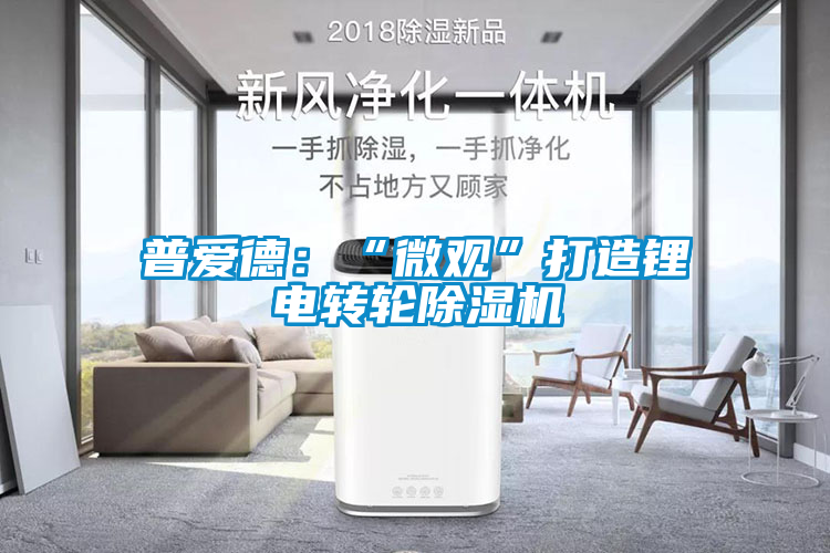 普爱德：“微观”打造锂电转轮茄子视频懂你更多在线观看