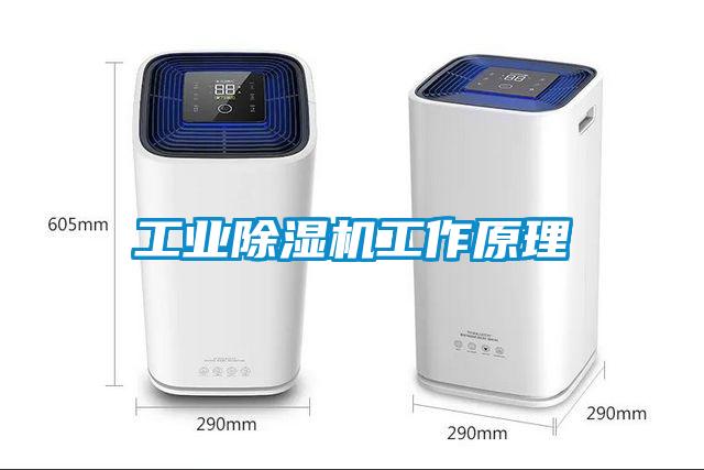 工业茄子视频懂你更多在线观看工作原理