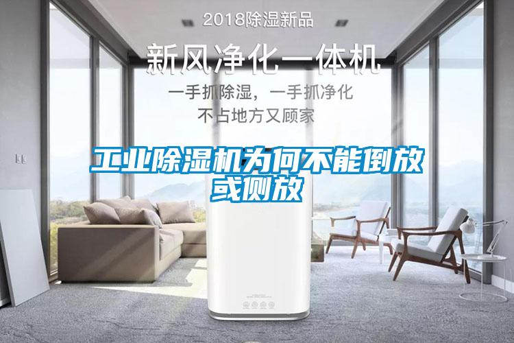 工业茄子视频懂你更多在线观看为何不能倒放或侧放