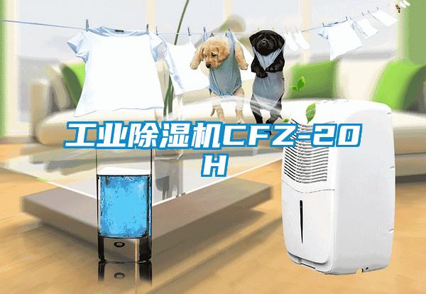 工业茄子视频懂你更多在线观看CFZ-20H