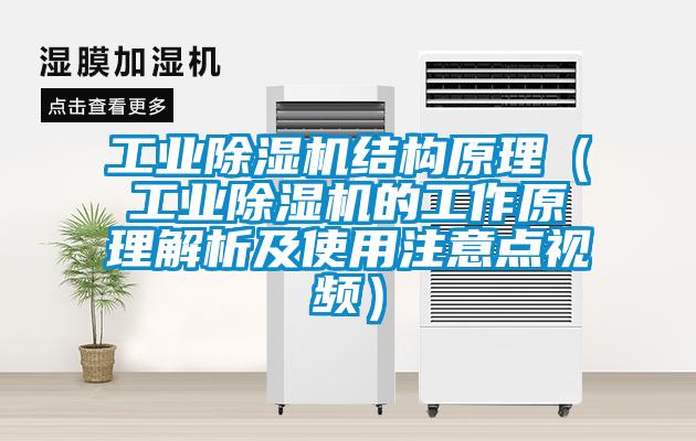 工业茄子视频懂你更多在线观看结构原理（工业茄子视频懂你更多在线观看的工作原理解析及使用注意点视频）