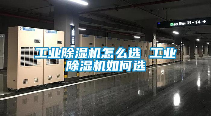 工业茄子视频懂你更多在线观看怎么选 工业茄子视频懂你更多在线观看如何选