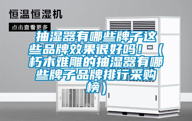 抽湿器有哪些牌子这些品牌效果很好吗！（朽木难雕的抽湿器有哪些牌子品牌排行采购榜）