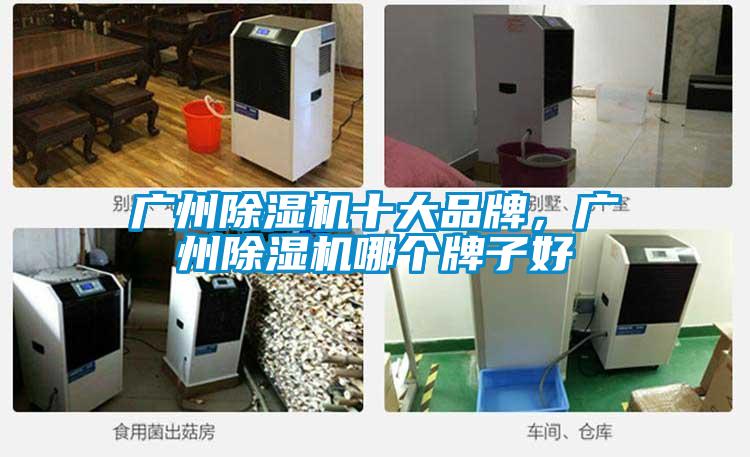 广州茄子视频懂你更多在线观看十大品牌，广州茄子视频懂你更多在线观看哪个牌子好