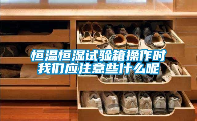 恒温恒湿试验箱操作时茄子污视频下载应注意些什么呢