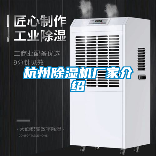 杭州茄子视频懂你更多在线观看厂家介绍