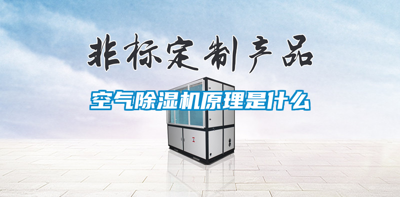 空气茄子视频懂你更多在线观看原理是什么