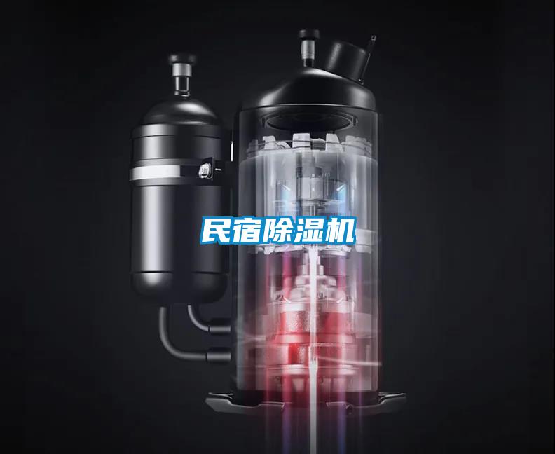民宿茄子视频懂你更多在线观看