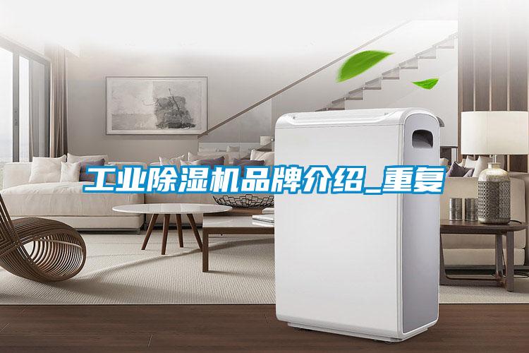 工业茄子视频懂你更多在线观看品牌介绍_重复